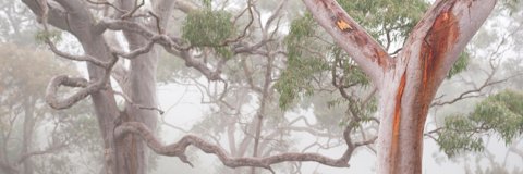JudyIrwig's profile banner image