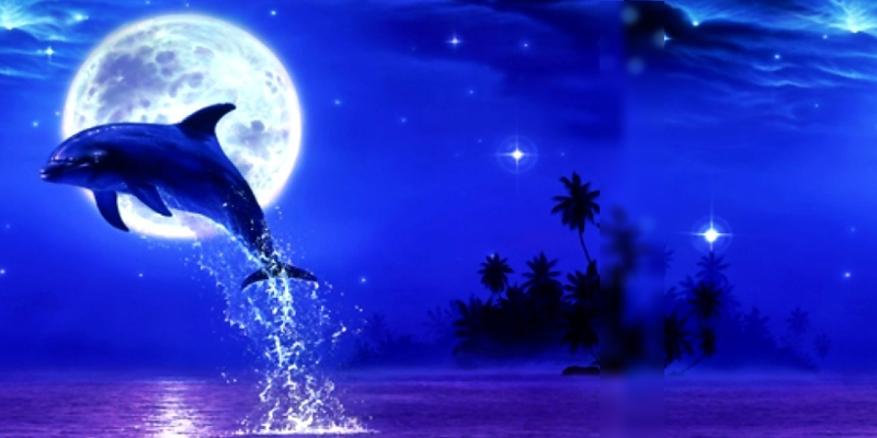 aqualuna's profile banner image