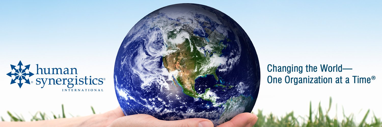 Human Synergistics banner