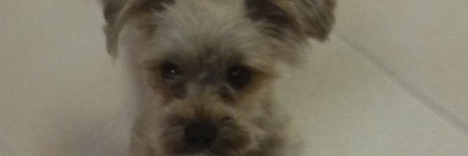 GBou93's profile banner image