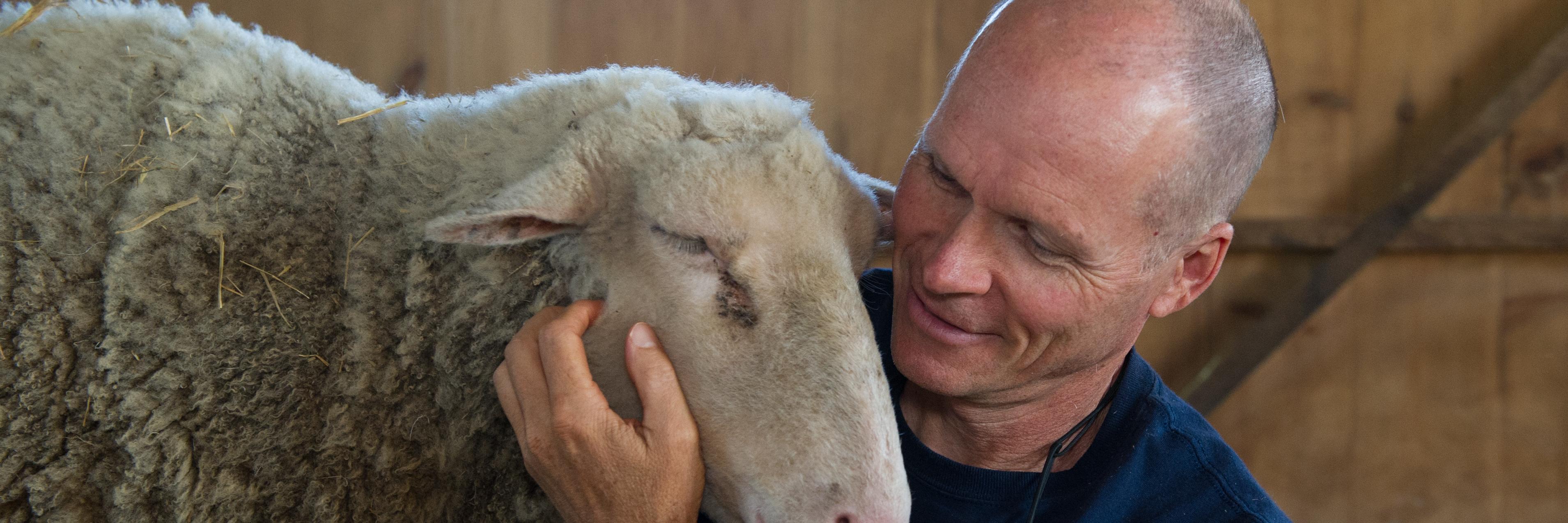 Jonathan Balcombe banner