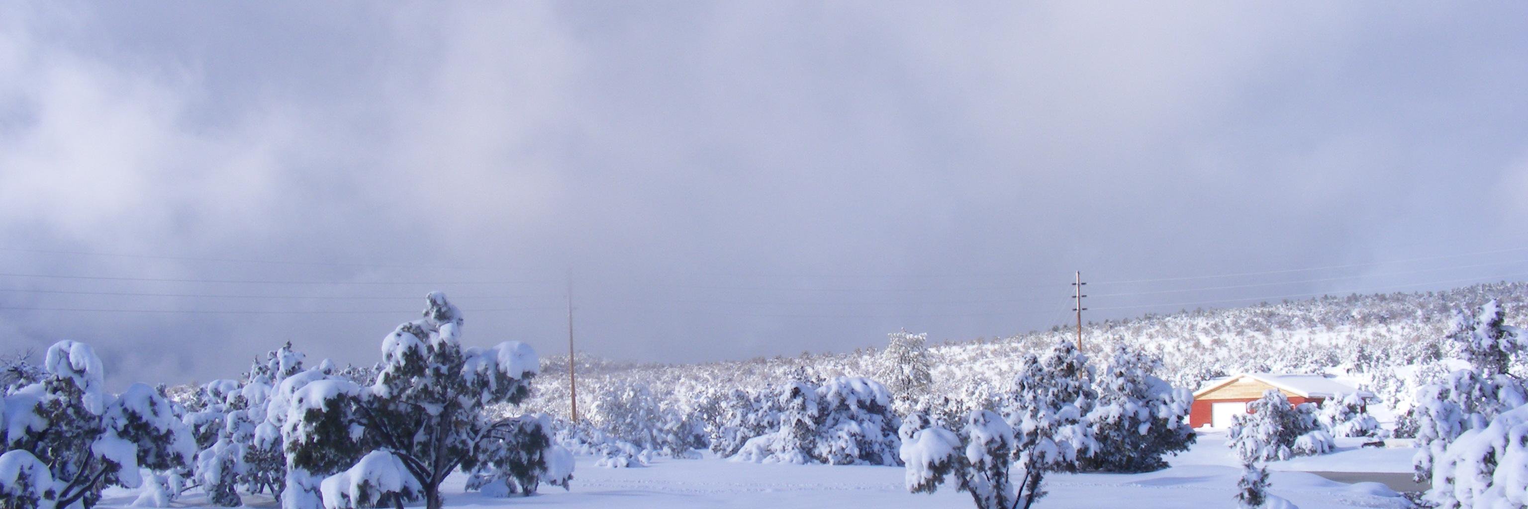 bgooder's profile banner image