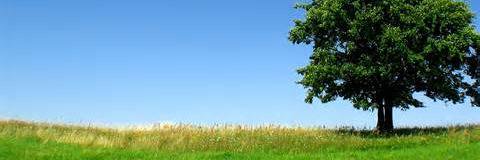 Indryherjuly's profile banner image