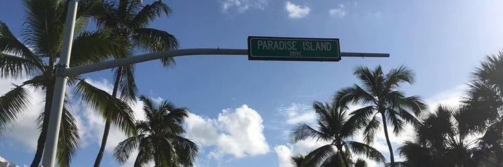 SandyPoppyy's profile banner image