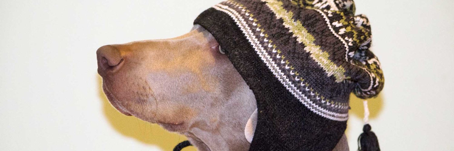 DogsCA's profile banner image