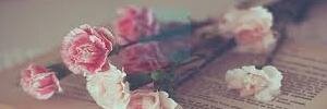 _AmandaChaves's profile banner image