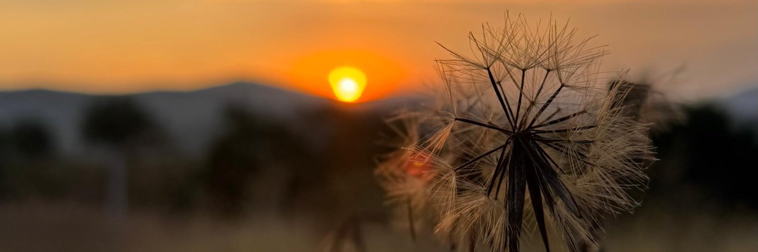 arrobaanag's profile banner image
