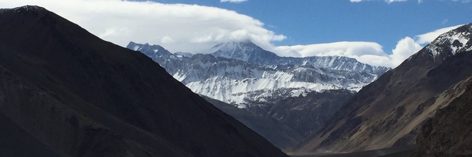 Michelle Siqueira banner