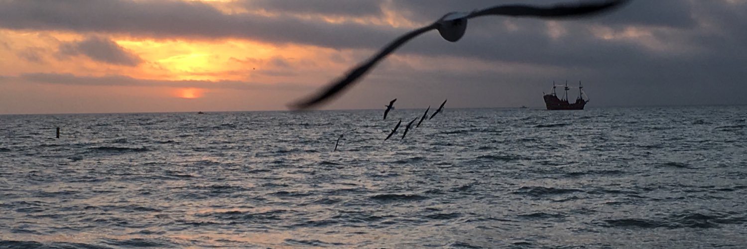 sandkeytiki's profile banner image