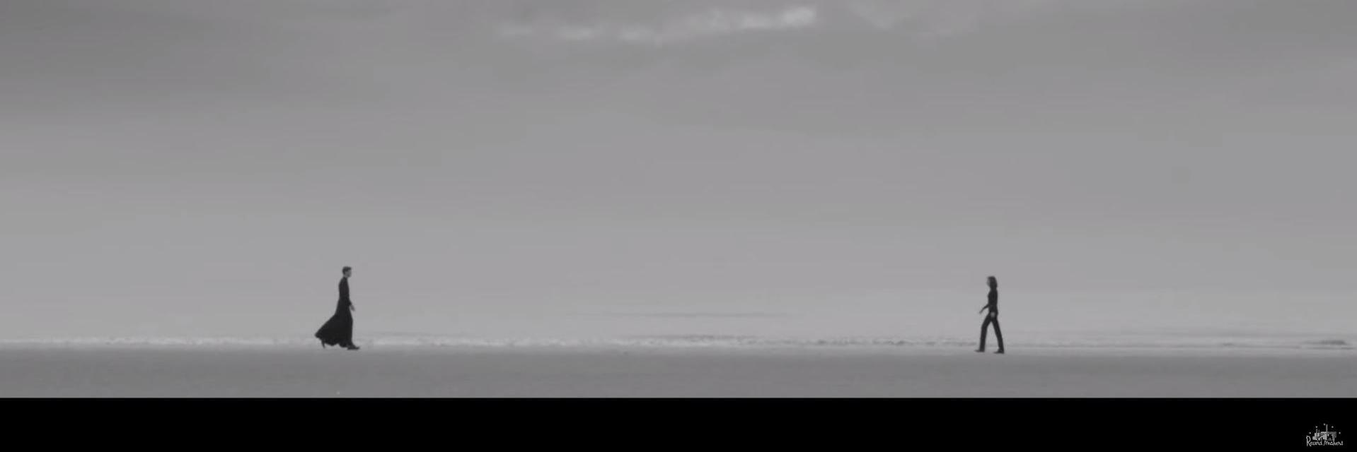 Carolina Bustamante banner