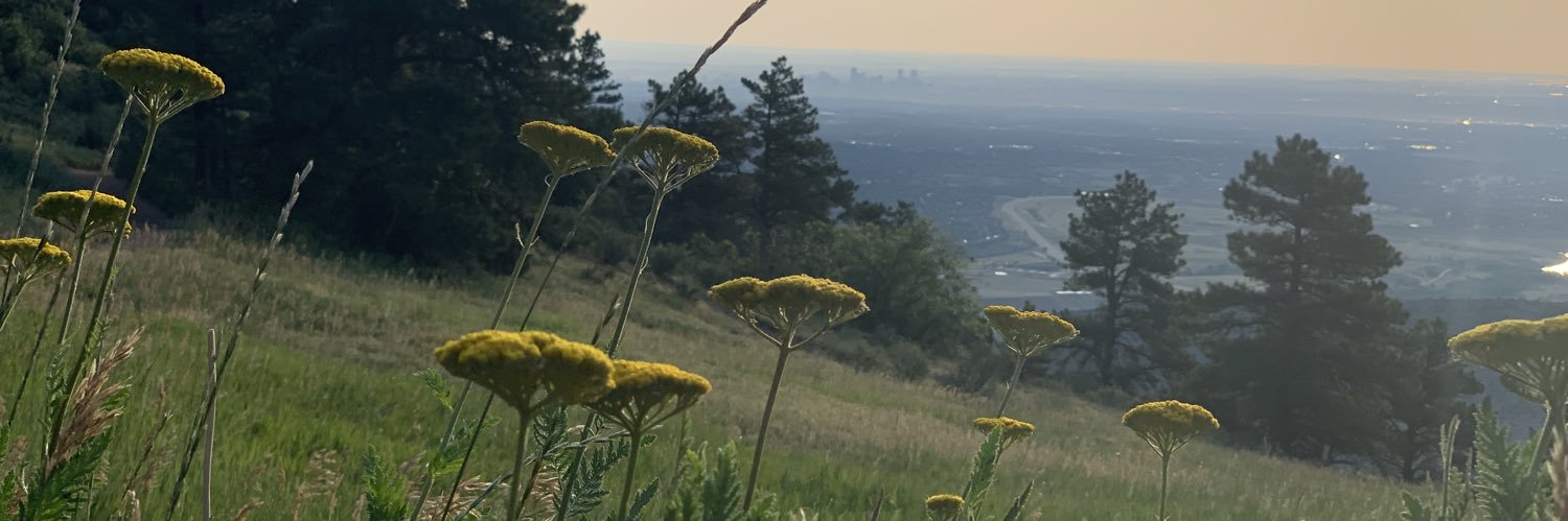 benpaujamin's profile banner image