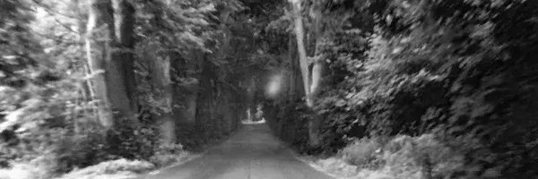 kgoworek Profile Banner