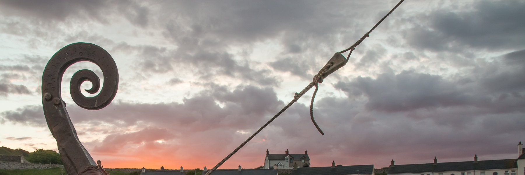 Sue McBean - @organicbotanic.bsky.social banner