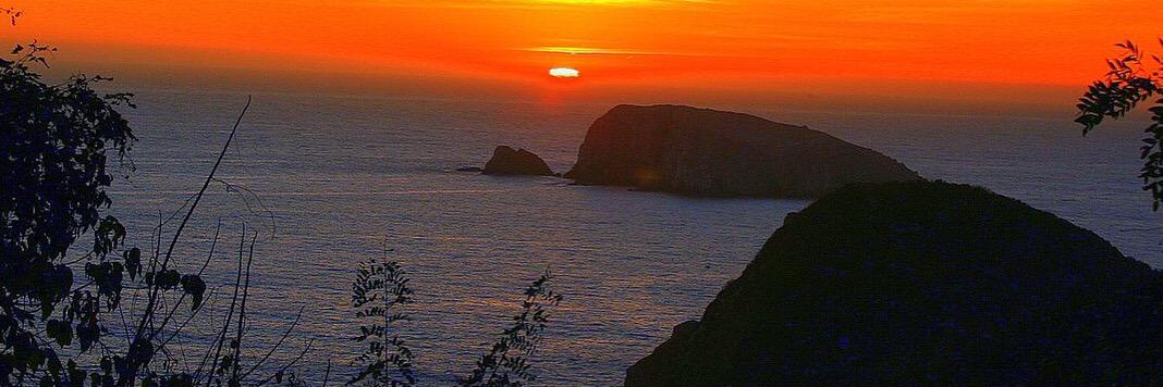 JORGE LEVY VAZQUEZ banner