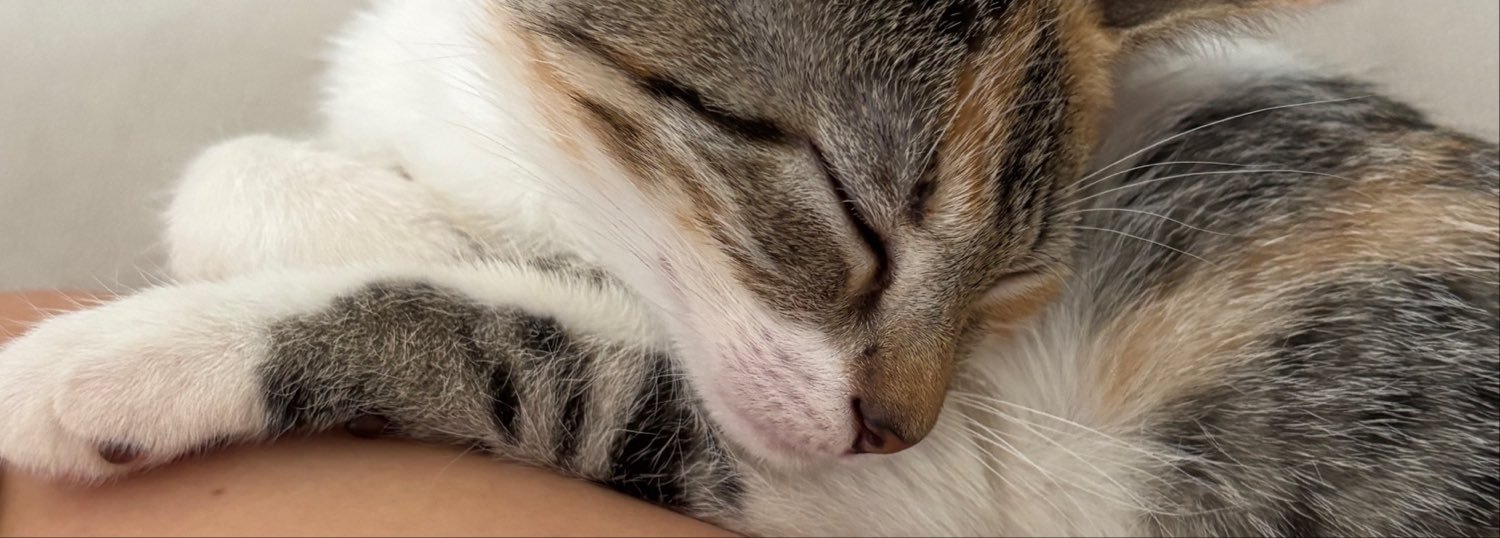 jmobvious's profile banner image