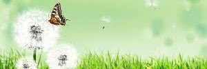 ANDALOS's profile banner image