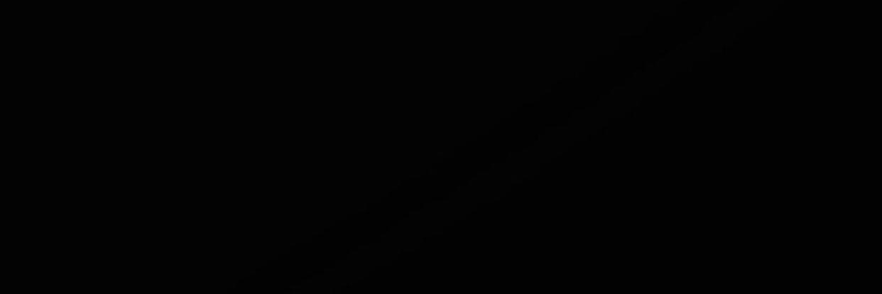 CamiScavone's profile banner image