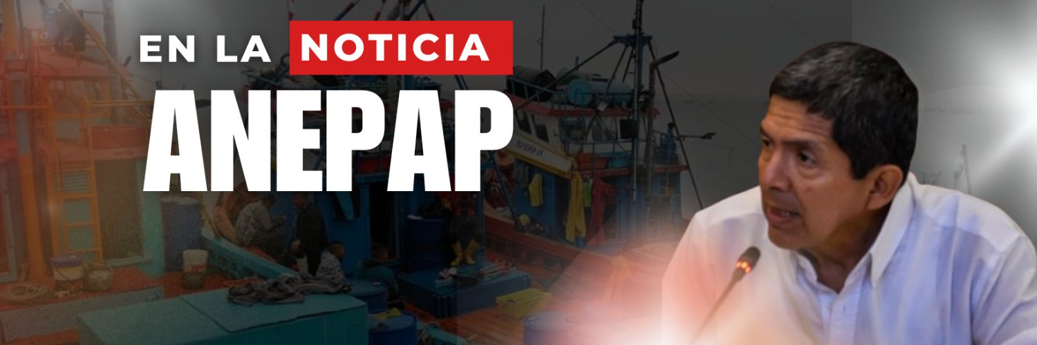 ANEPAP's profile banner image
