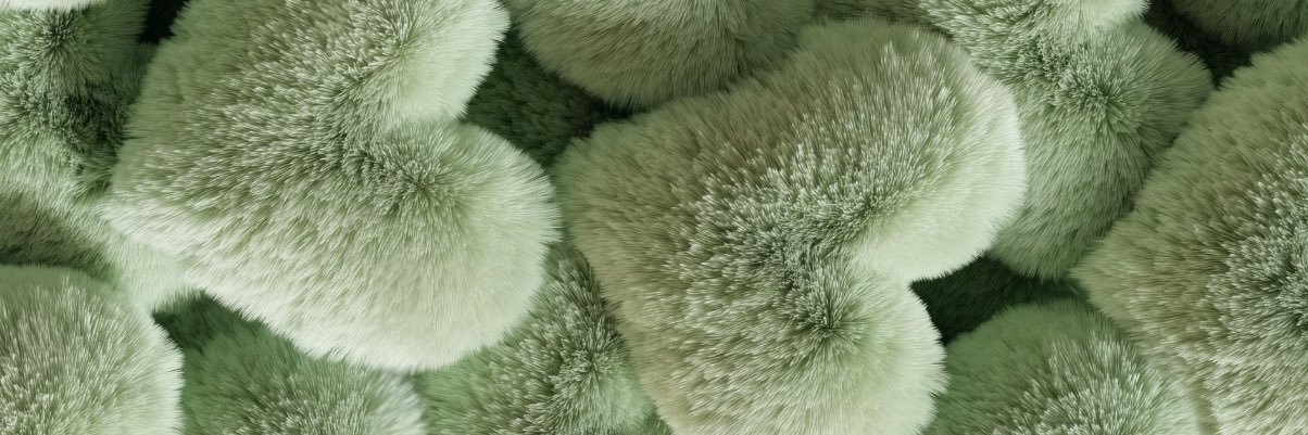 __chelssss's profile banner image