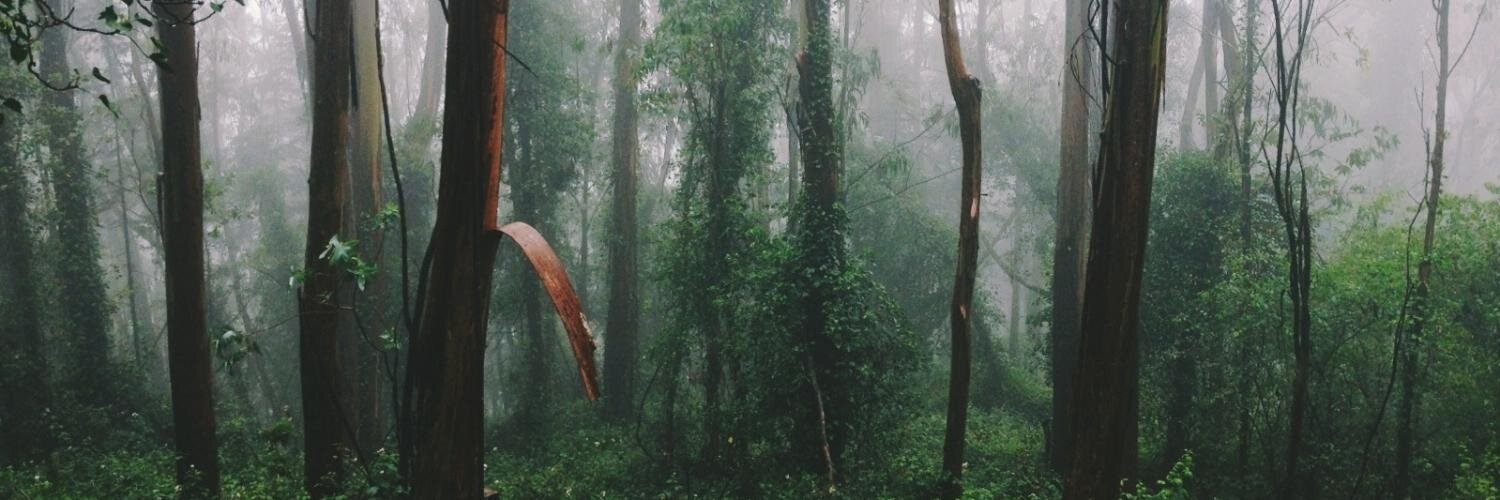 ryandcharles's profile banner image