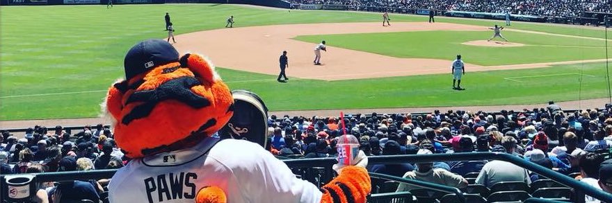 AlwaysYourTiger's profile banner image