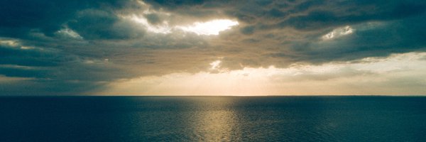 DrCynthiaPorter Profile Banner