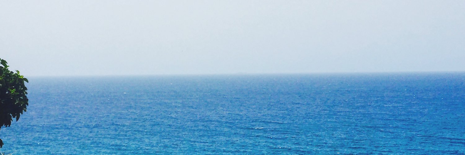 Zullinel's profile banner image