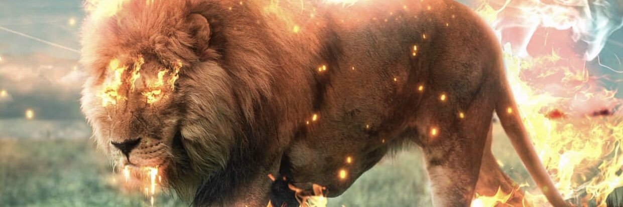 RandyJayBurrell's profile banner image