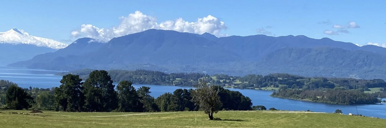 Patricia Burgos Hitschfeld banner