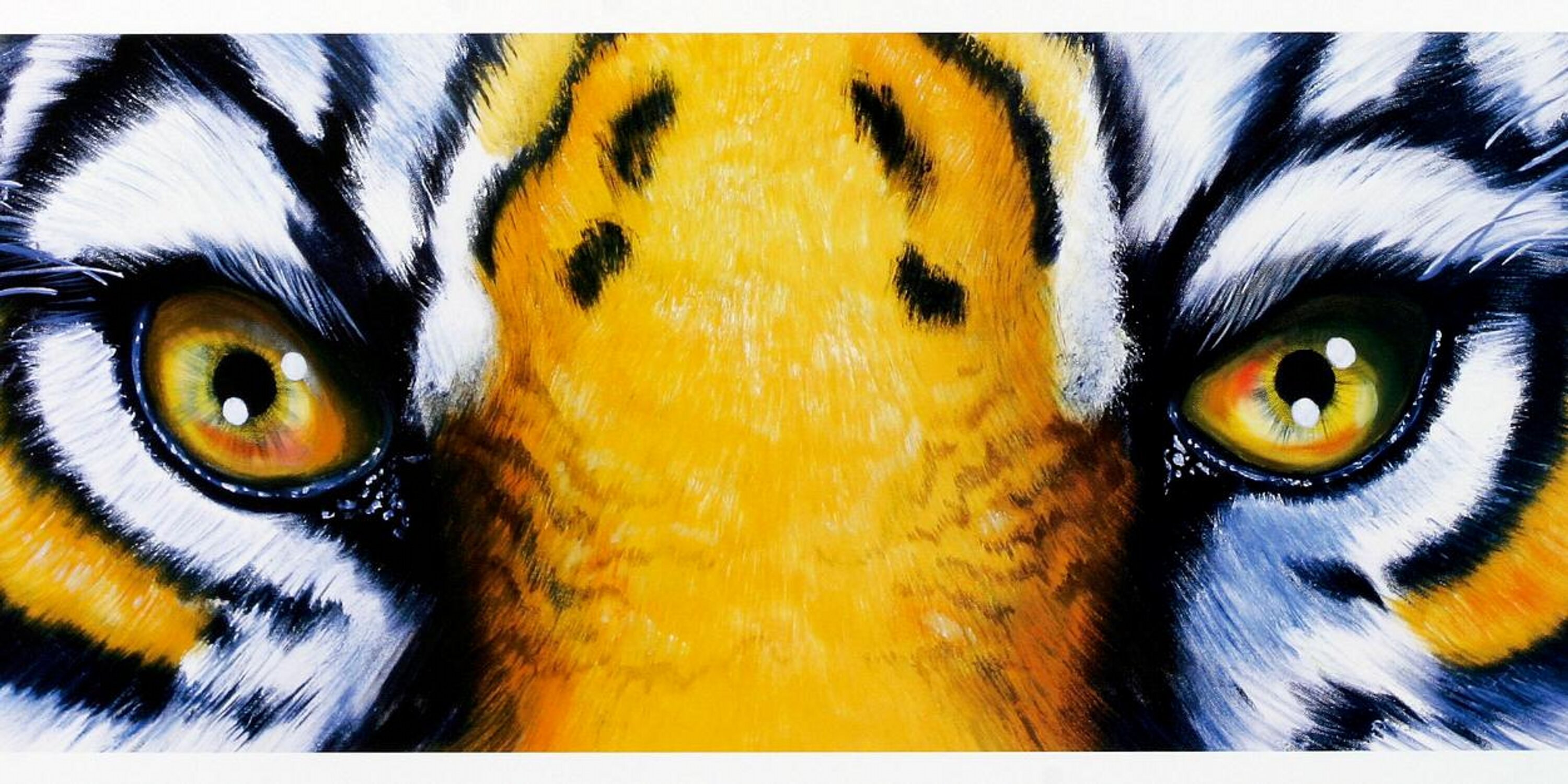 adamarinder's profile banner image
