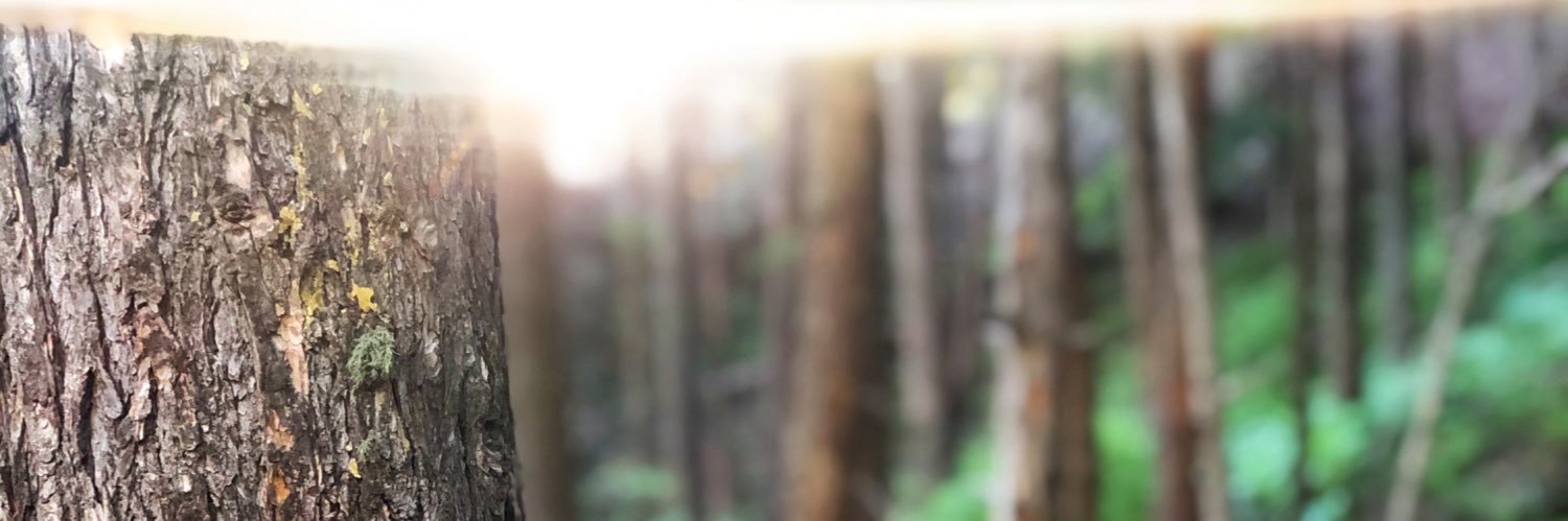 pennifer_'s profile banner image