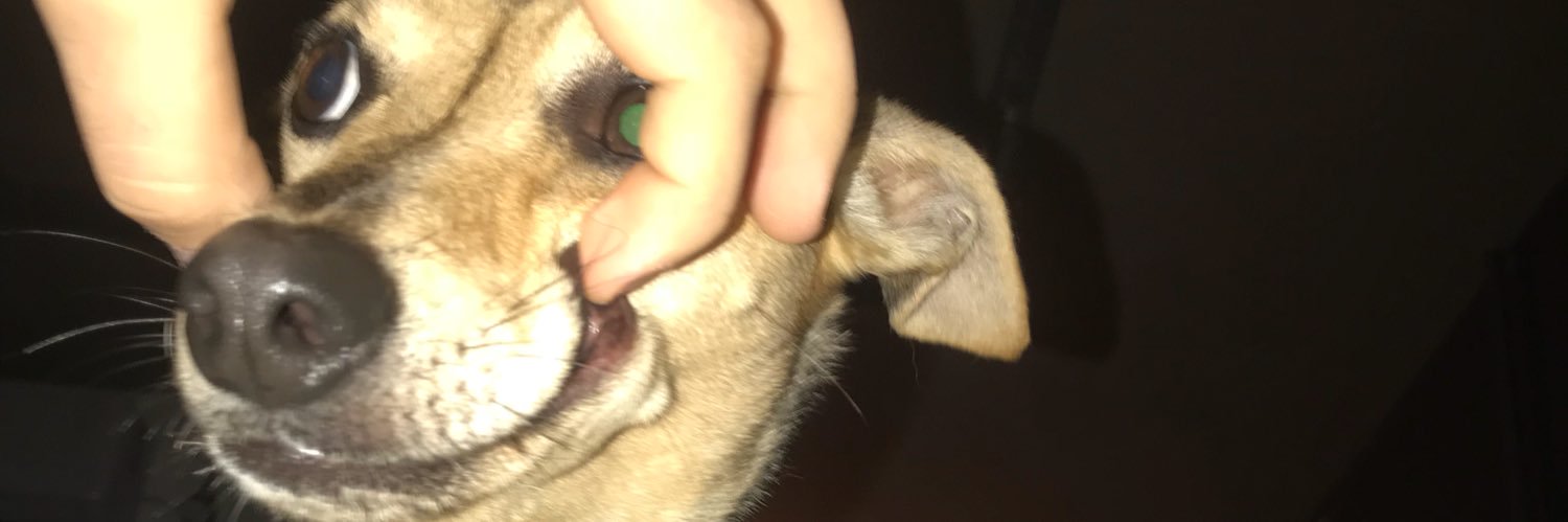 Arthur Gubert 🍥 banner