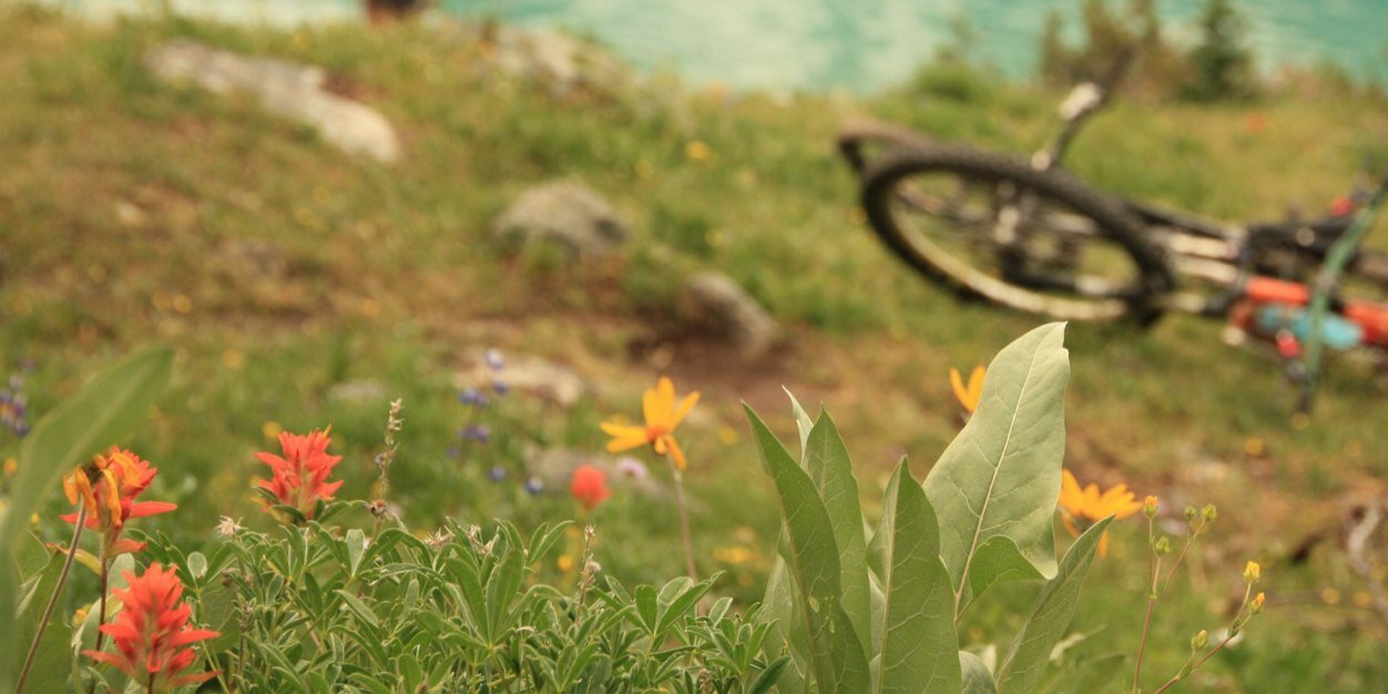 IanN_Van's profile banner image