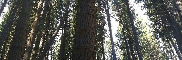 MelDH_'s profile banner image