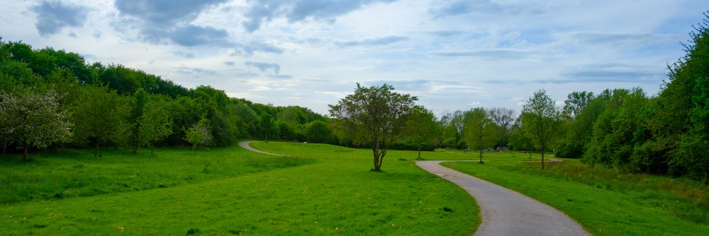 Fernando D Ramirez F banner