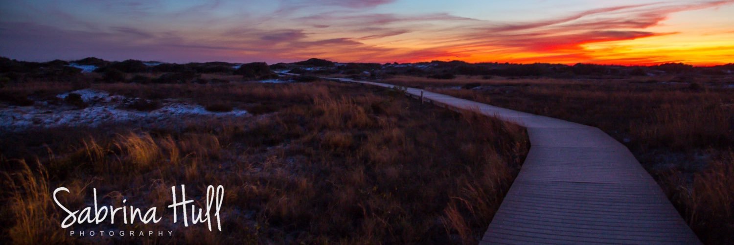 SHullPhotos's profile banner image