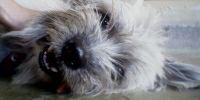 catywills's profile banner image