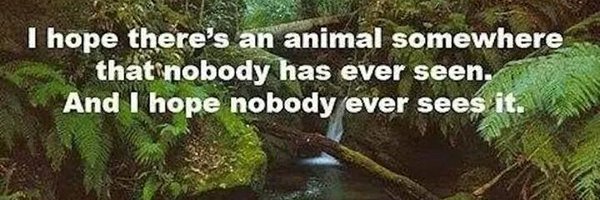 Debbi_Dawn Profile Banner