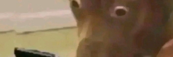 Random person banner