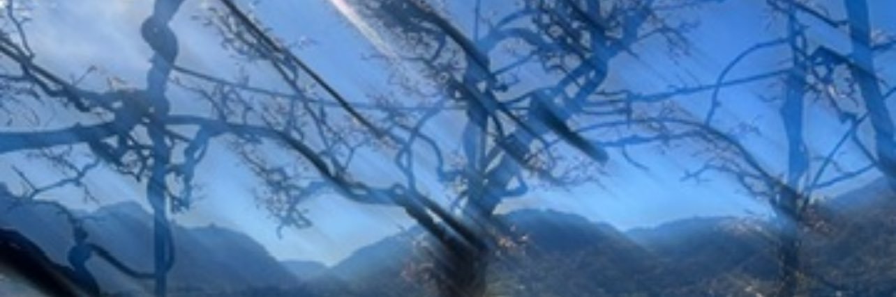 Finnleymaier's profile banner image