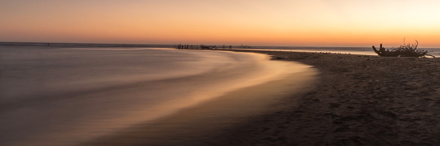 Christian Palma banner