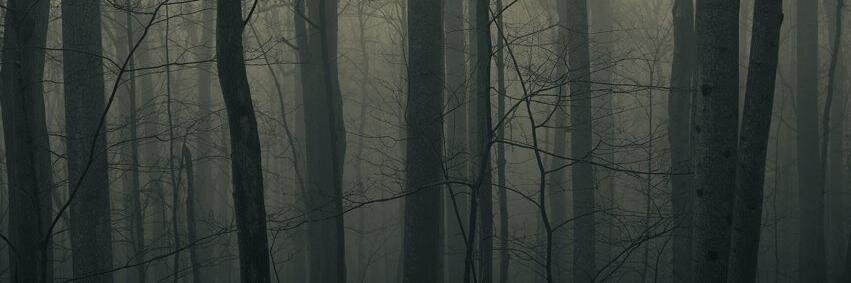 pgillus's profile banner image