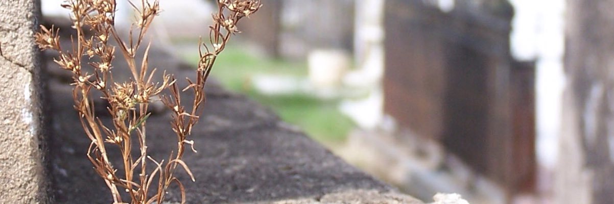 KylerL06's profile banner image