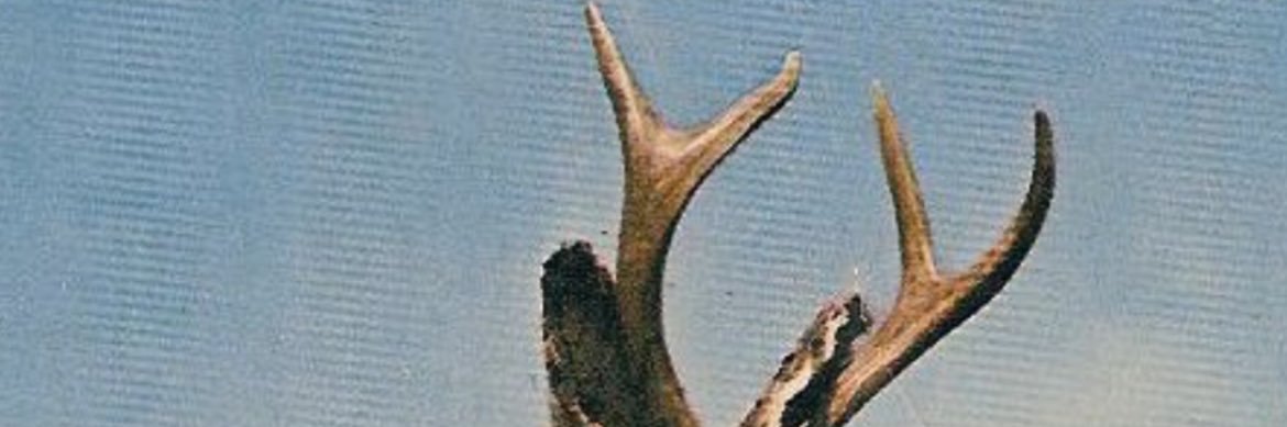pbrmc24's profile banner image