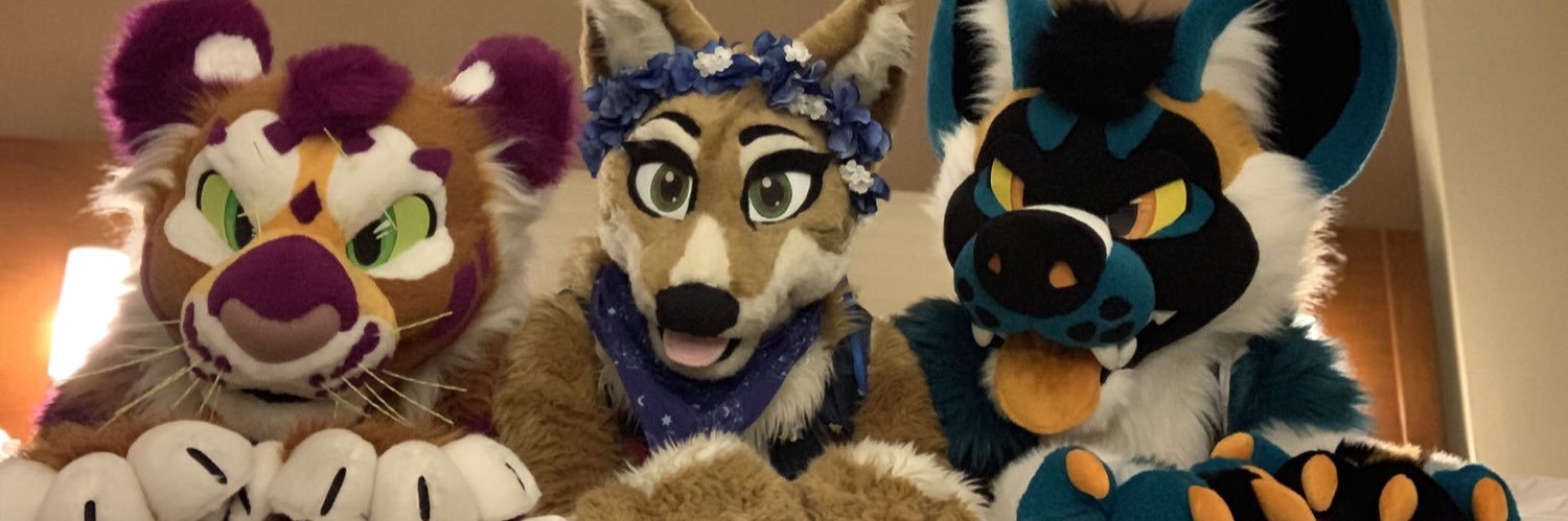 EscoDingo's profile banner image