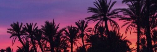 TSClary's profile banner image
