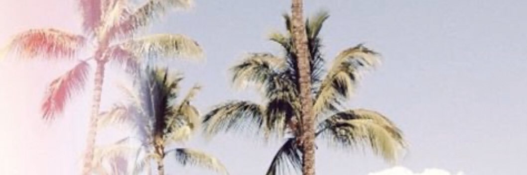 Rachel Friesen banner