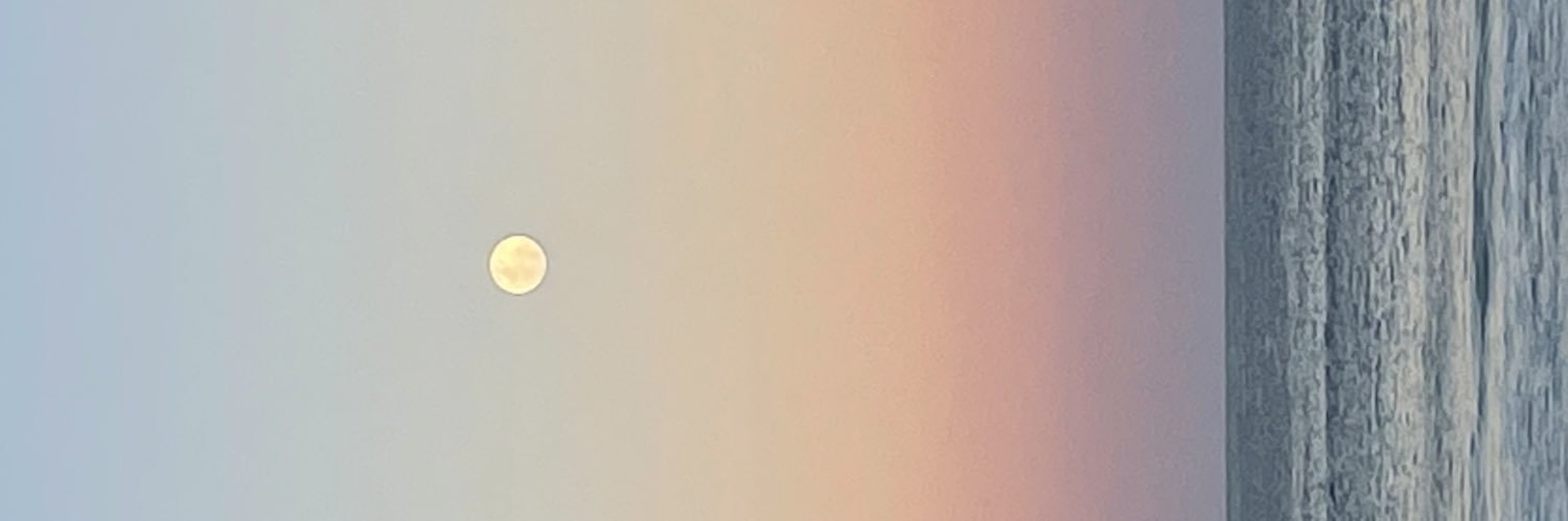 juliafantini's profile banner image