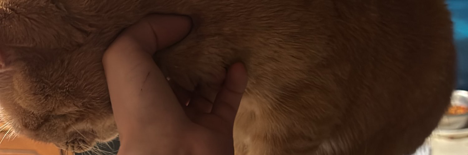 Mayo. banner