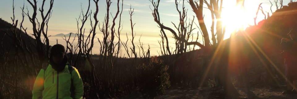 lelisalsa's profile banner image